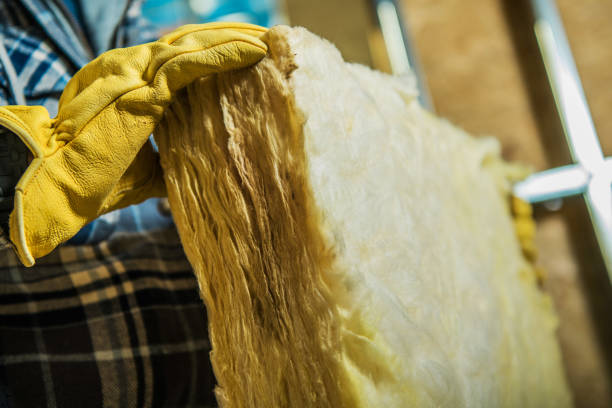 Best Eco-Friendly Insulation in Deltona, FL